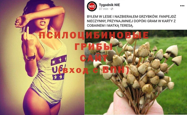 мяу мяу мука Алзамай