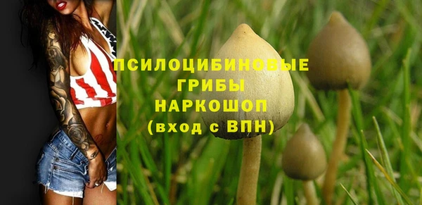 мяу мяу мука Алзамай