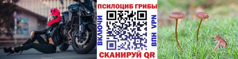 цена   Яровое  Галлюциногенные грибы прущие грибы 