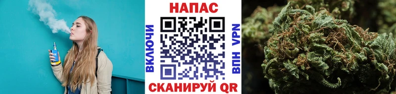 Бошки марихуана сатива Яровое